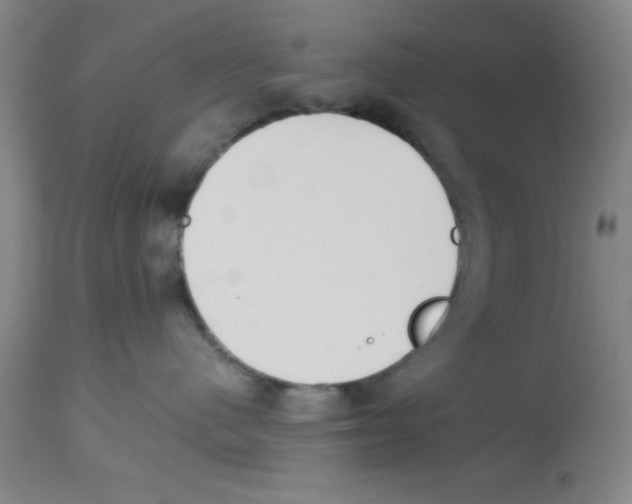 X0000112840480200909181717