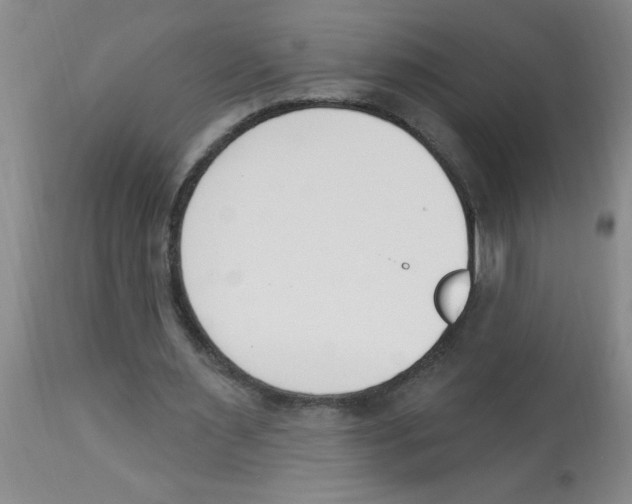 X0000112840483200909181716