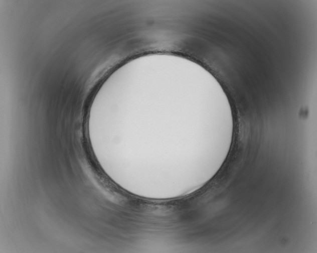 X0000112840486200909181716