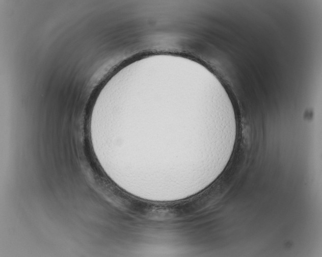 X0000112840487200909181716