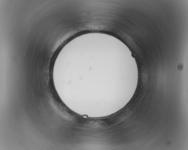 X0000112840488200909181716