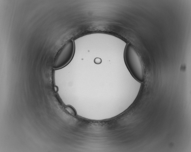 X0000112840489200909181716