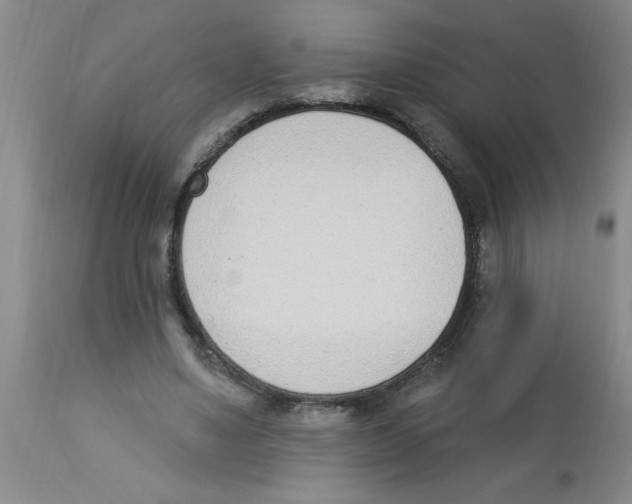 X0000112840491200909181716