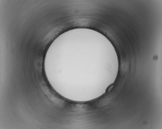 X0000112840493200909181716