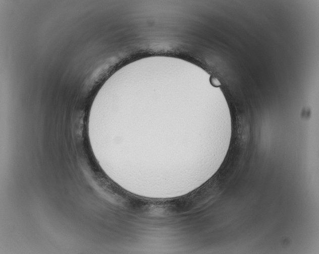 X0000112840495200909181716