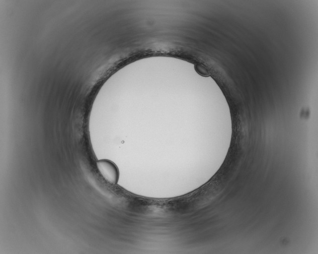 X0000112840496200909181716