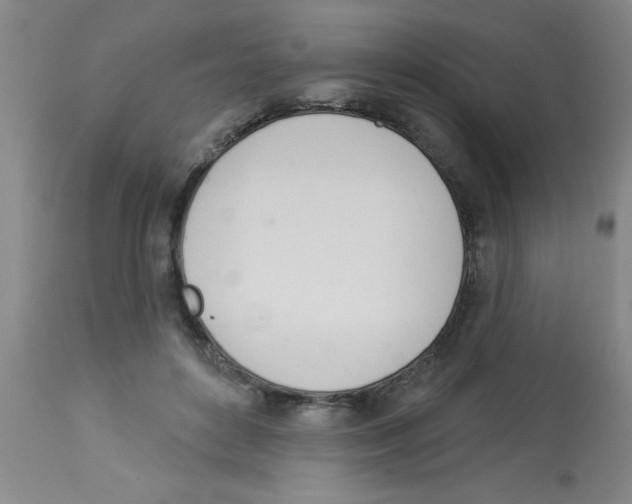 X0000112840504200909181716