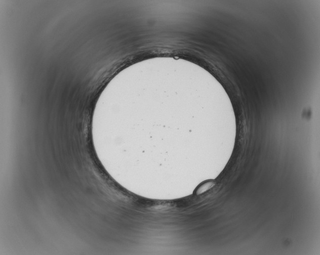 X0000112840505200909181716