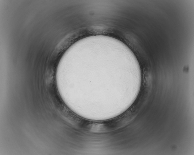 X0000112840507200909181716