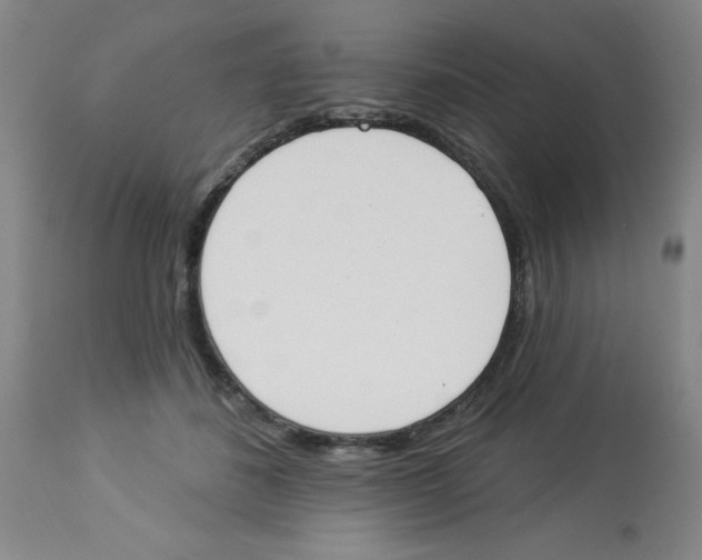 X0000112840508200909181716