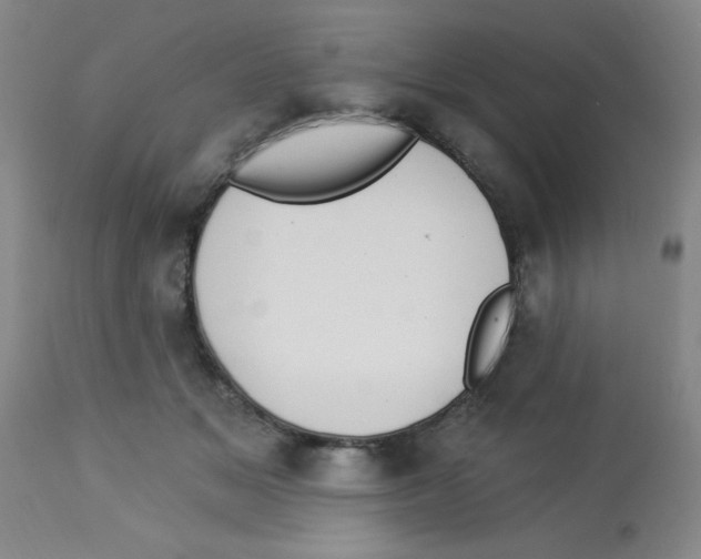 X0000112840509200909181716