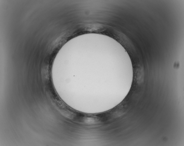 X0000112840510200909181716