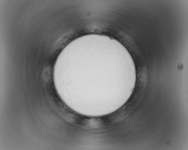 X0000112840511200909181716