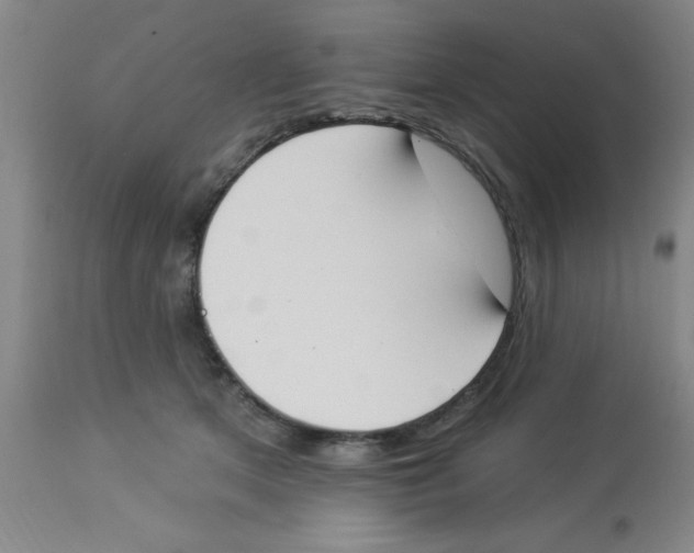 X0000112840513200909181716