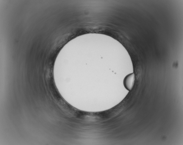 X0000112840515200909181716