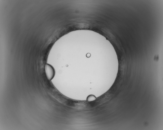 X0000112840516200909181716