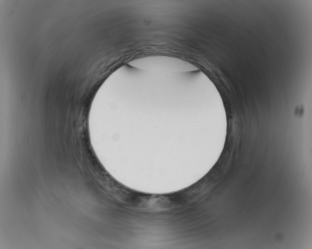 X0000112840517200909181716