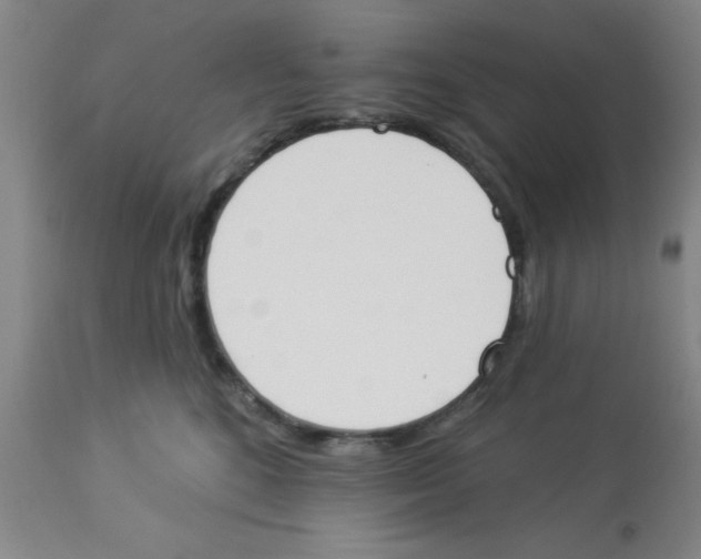 X0000112840520200909181716