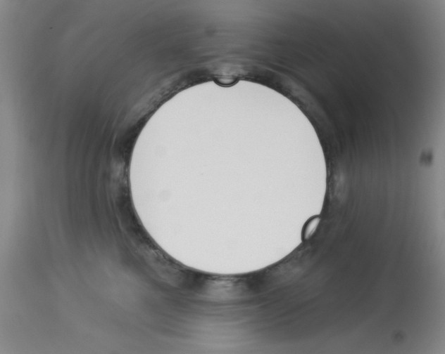 X0000112840521200909181716