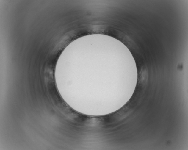 X0000112840522200909181716