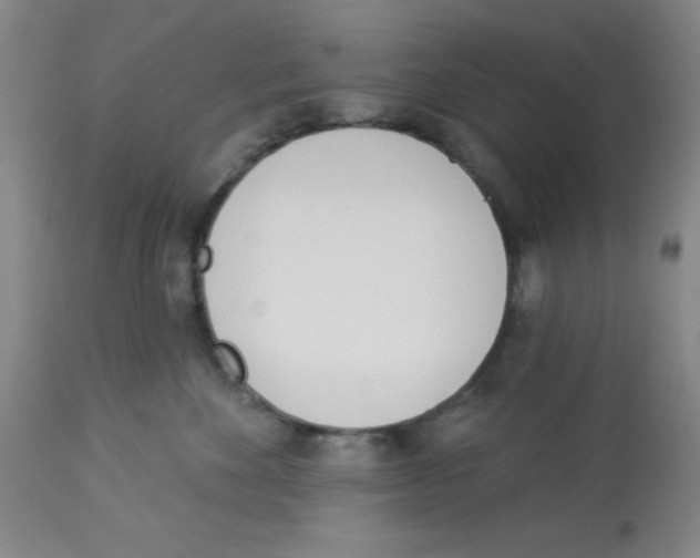 X0000112840524200909181716