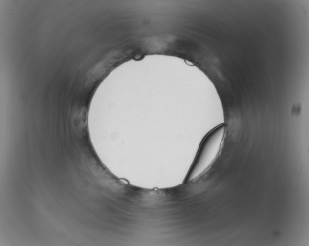 X0000112840525200909181716