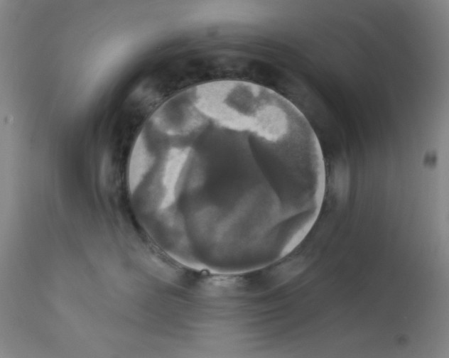 X0000112840526200909181716