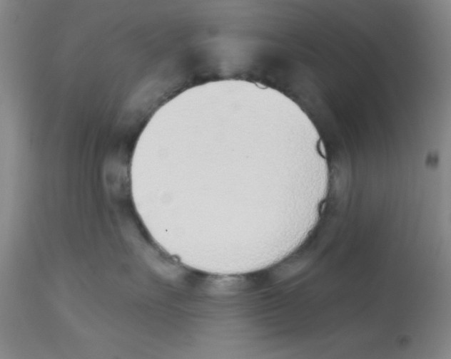 X0000112840527200909181716