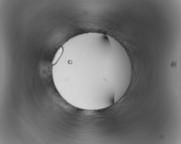 X0000112840528200909181716