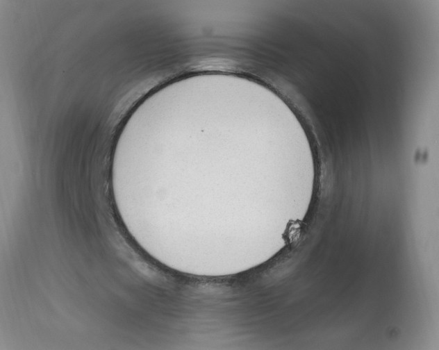 X0000112840529200909181715