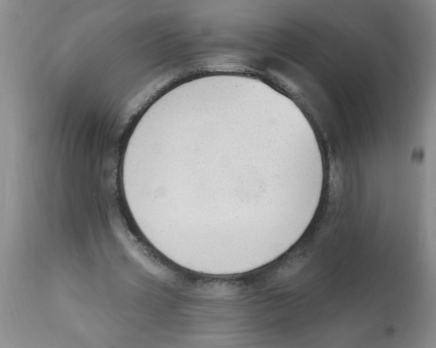 X0000112840533200909181715