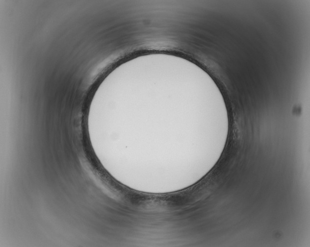 X0000112840535200909181715