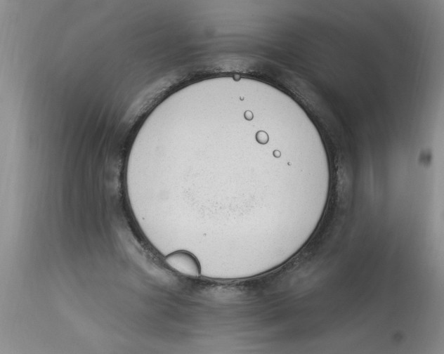 X0000112840537200909181715