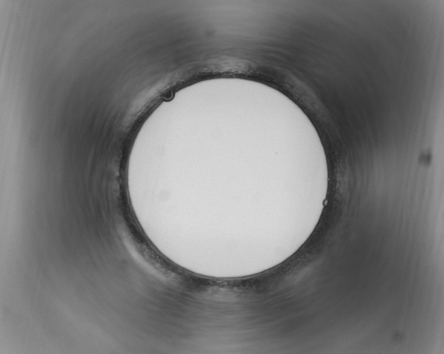 X0000112840538200909181715