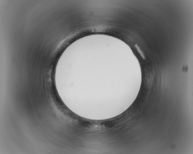 X0000112840543200909181715