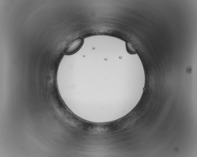 X0000112840546200909181715