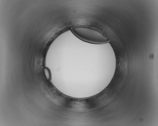 X0000112840548200909181715