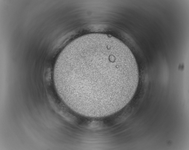 X0000112840549200909181715