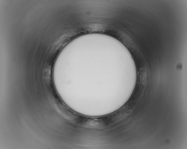 X0000112840550200909181715