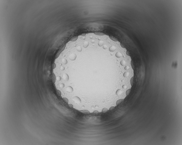 X0000112840553200909181715