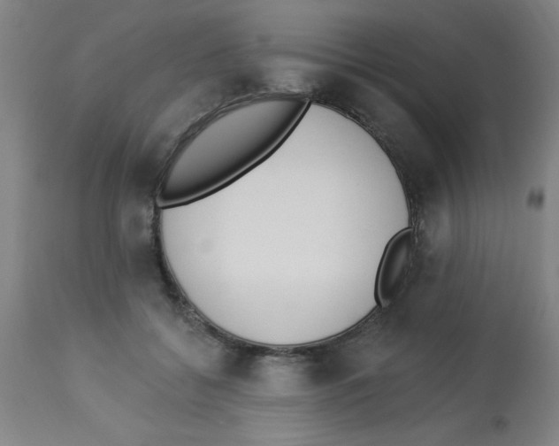 X0000112840556200909181715