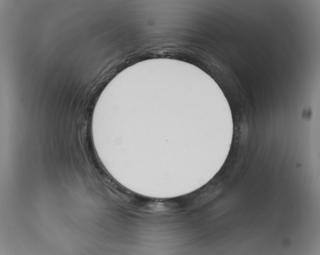 X0000112840558200909181715