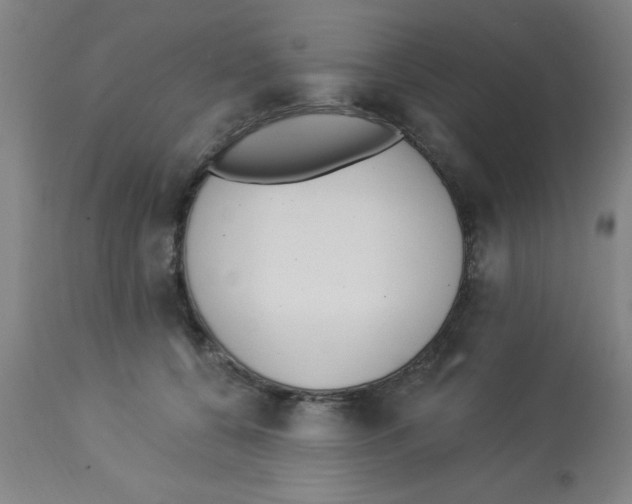 X0000112840560200909181715