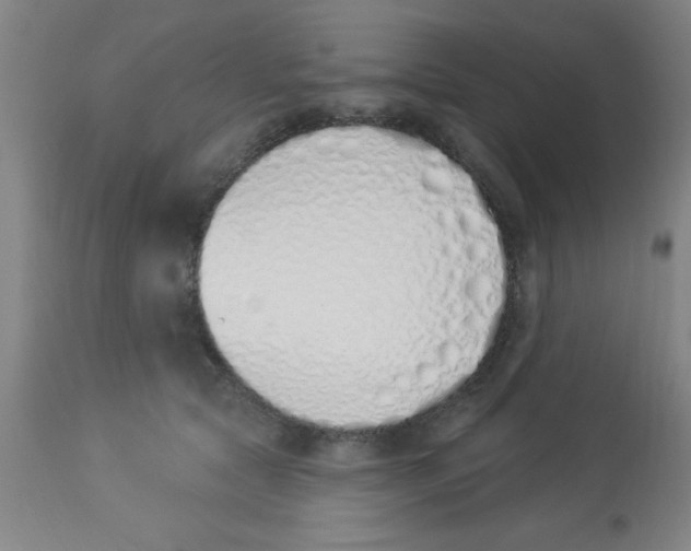 X0000112840561200909181715