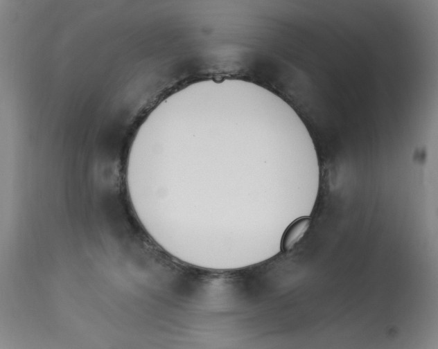 X0000112840564200909181715