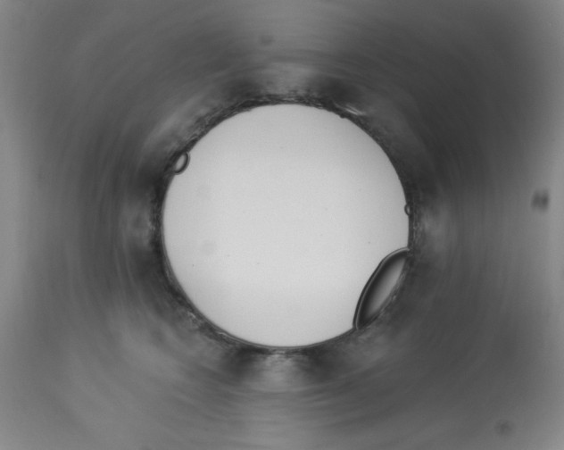 X0000112840566200909181715