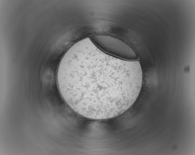 X0000112840568200909181715