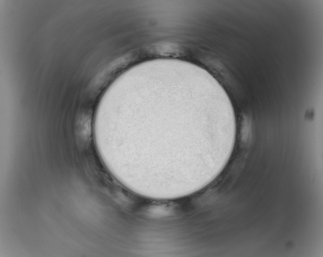 X0000112840569200909181715