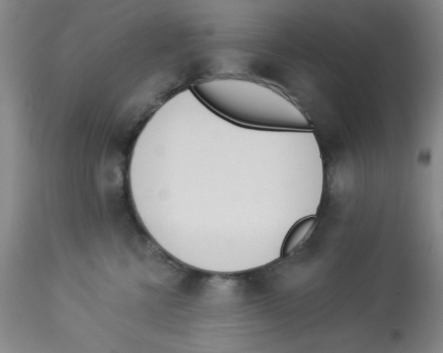 X0000112840570200909181715