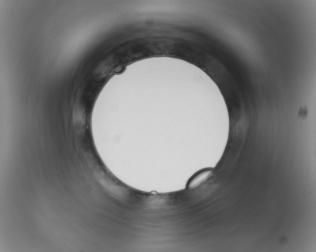 X0000112840574200909181716